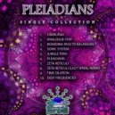 Pleiadians - Deep Frequencies (Original Mix)