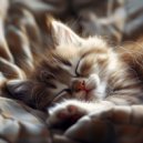 Gracia asombrosa & Relajación Musical para Gatos & Sueños Felinos - Melodías Reconfortantes Para Felinos