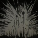 Torii Wolf - t/here ()