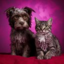 Música tranquila para la cena & Melodía especial para criaturas & Terapia sonora para el alma animal - Notas Tranquilas Para Compañeros