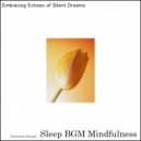Sleep BGM Mindfulness - Embracing Neural Whispers of Astral Dreams (Original Mix)