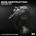 Bios Destruction - Sky Fighter