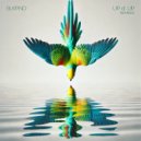 BLKPND - UP & UP