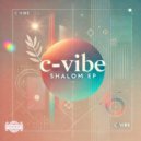 C-vibe - There She Go