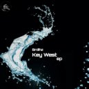 Brdihz - Key West