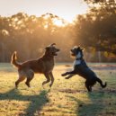 Bruma Pacífica & Armonía para Perros & En Casa con Música para Perros - Armonía Calmante De Los Ladridos ()