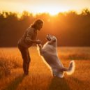 Huellas Musicales & La melodía calma a los seres & Paz en el alma animal - Vibraciones Suaves De Mascotas ()