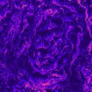 Korinami - amaranth