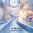 e Bora - Out Of The Dark ()