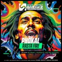 Phokal & Dr Beats - Rasta fire (Dr beats remix)