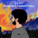SEPY & Shidrokh - Remember Me (Original Mix)