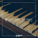 Phonovoltaik, Micrologue - Particle