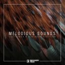 Bonar Bradberry & Ian Blevins - Ms6 (Original Mix)