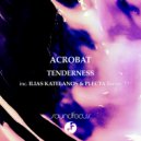 Acrobat - Tenderness (Ilias Katelanos & Plecta Extended Remix)