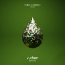 Pablo Arbelaez - Nocturnal (Original Mix)