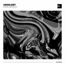 Ungeliebt - Pleito (Original Mix)