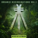 Radical Fantasy, Guy Maayan feat. Roy Lavie - Smile Of The Moon (DSF Extended Remix)