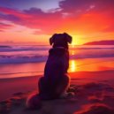 Viajes tranquilos & Música para Perros Curación & Música para Perros Proyecto - Música Relajante Para Perros Tranquilos ()