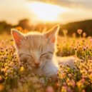 Canciones relajantes del domingo & En Casa con Música para Gatos & Gatos Calmantes - Vibraciones Serenas De Gatos ()