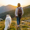 Clima salvaje & Fanático de animales & Melodía especial para criaturas - Notas Relajantes Para Mascotas ()