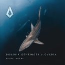 Dominik Gehringer - Dance With Me (Extended Mix)