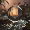F0x - Pulse of Life (Original Mix)