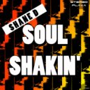 Shane D - Soul Shakin (Original Mix)
