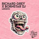 Richard Grey x Bornstar DJ - Missing (Original Mix)