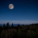 Vibraciones perezosas & Melodía de descanso & Armonía Nocturna - Melodías Suaves Para Dormir ()