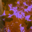 Converted Specifications - Gentle Plants (Original Mix)
