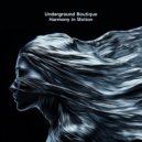 Underground Boutique - How Do You Feel (Ahmet Sendil Remix)