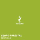 Grupo Forestal - Feliz Feliz (Original Mix)