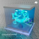 I Promised Mom, AVTEL - The Final Frame (Original Mix)