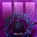 Passenger 10 - Falling
