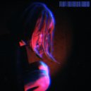 Animadrop - past/shadows/inside ()