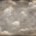 sosiska38 & Test - Assumption ()