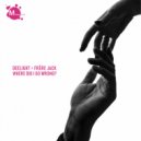 Deelight & Frère Jack - Where Did I Go Wrong (Original Mix)