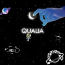 Matt Prehn - Qualia (TMBSH! H.A.N.D Remix)