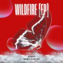 KHART, musicalmind - Young & Wild (Original Mix)