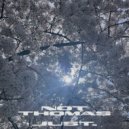 Not Thomas - 5 To Midnight Around Mercury (Original Mix)
