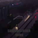 SHXDOWSTRIDER - NUMB (Original Mix)