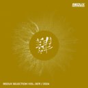 Liam Van Hoven - Fly (Extended Mix)