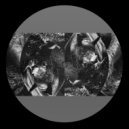 Joton - Shadow Pulse (Original Mix)