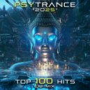 Psytronic - Elementary Particles