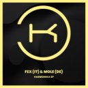 FEX (IT) & Mole (DE) - Vuelta De Trumpeta (Radio Edit)