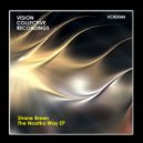 Shane Breen - Steady Dissonance (Original Mix)