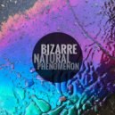 Kaleidoscope Jukebox - Bizarre Natural Phenomenon ()