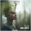 Polar - Soul Roots (Original Mix)