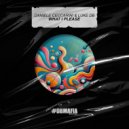 Daniele Ceccarini & Luke DB - What I Please (Original Mix)