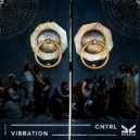 Vibration - CNTRL (NAZA RV Remix - Extended Mix)